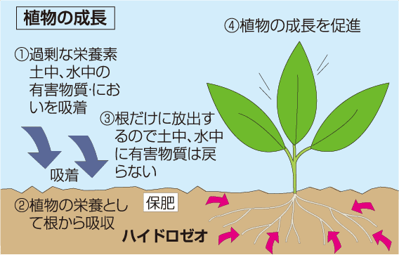 植物に対するハイドロゼオの働き