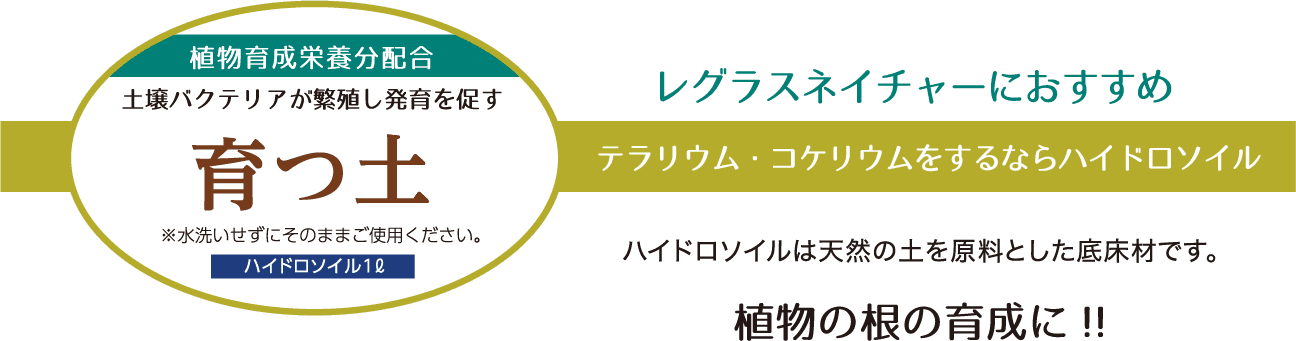 テラリウム・コケリウムをするならハイドロソイル