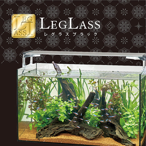 Leglass Black（レグラス ブラック）