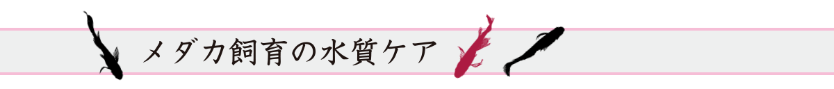 メダカ飼育の水質ケア