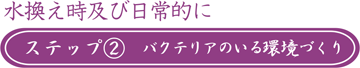 ステップ②　バクテリアのいる環境づくり