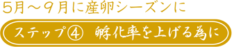 ステップ④　孵化率を上げる為に