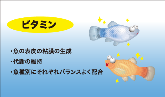 ビタミン類は、魚の表皮の粘膜生成や、代謝の維持に効果的です。そのビタミン類も、魚種別にバランスよく配合しています。