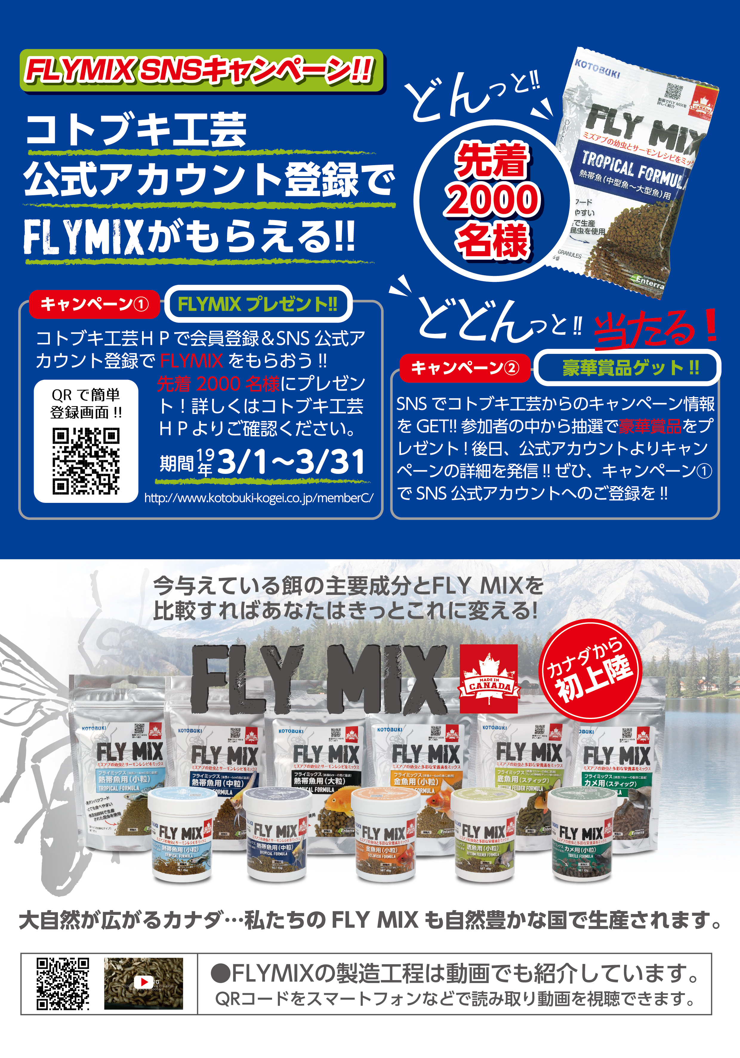FLYMIX SNS キャンペーン