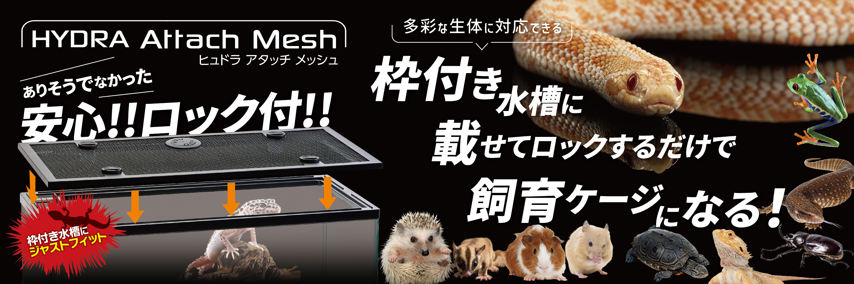 ヒュドラアタッチメッシュ