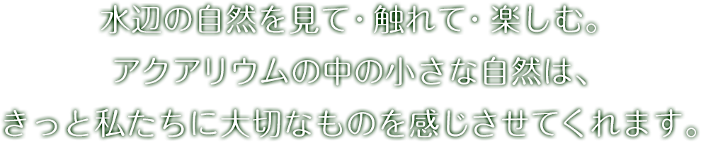 バランスウォーター ラボ水 キャンペーン