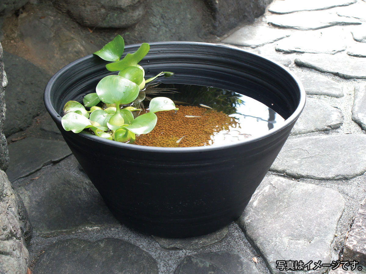 和を感じさせる、鉢に水生植物やスイレン等を浮かべ、メダカビオトープを楽しむ。