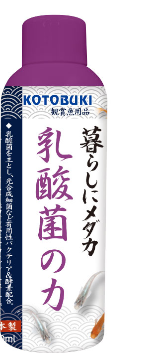 暮らしにメダカ　乳酸菌の力