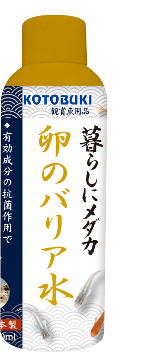 暮らしにメダカ　卵のバリア水