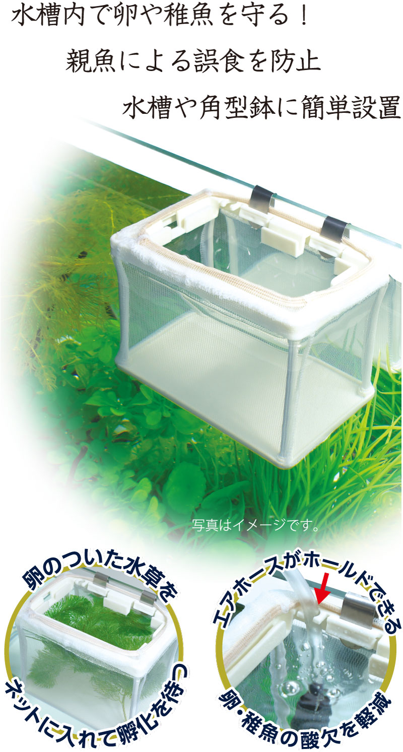 水槽内で卵や稚魚を守る！ 親魚による誤食を防止 水槽や角型鉢に簡単設置