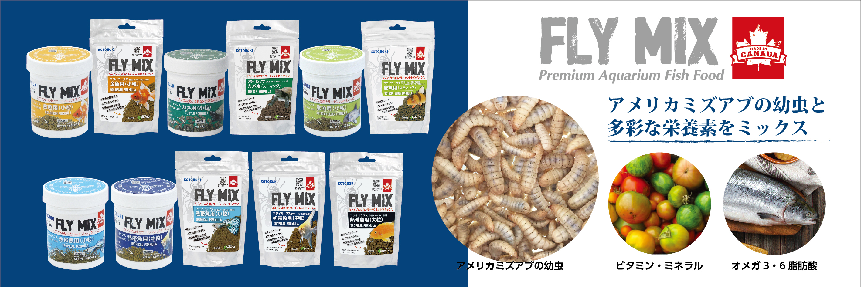 FLYMIX SNS キャンペーン