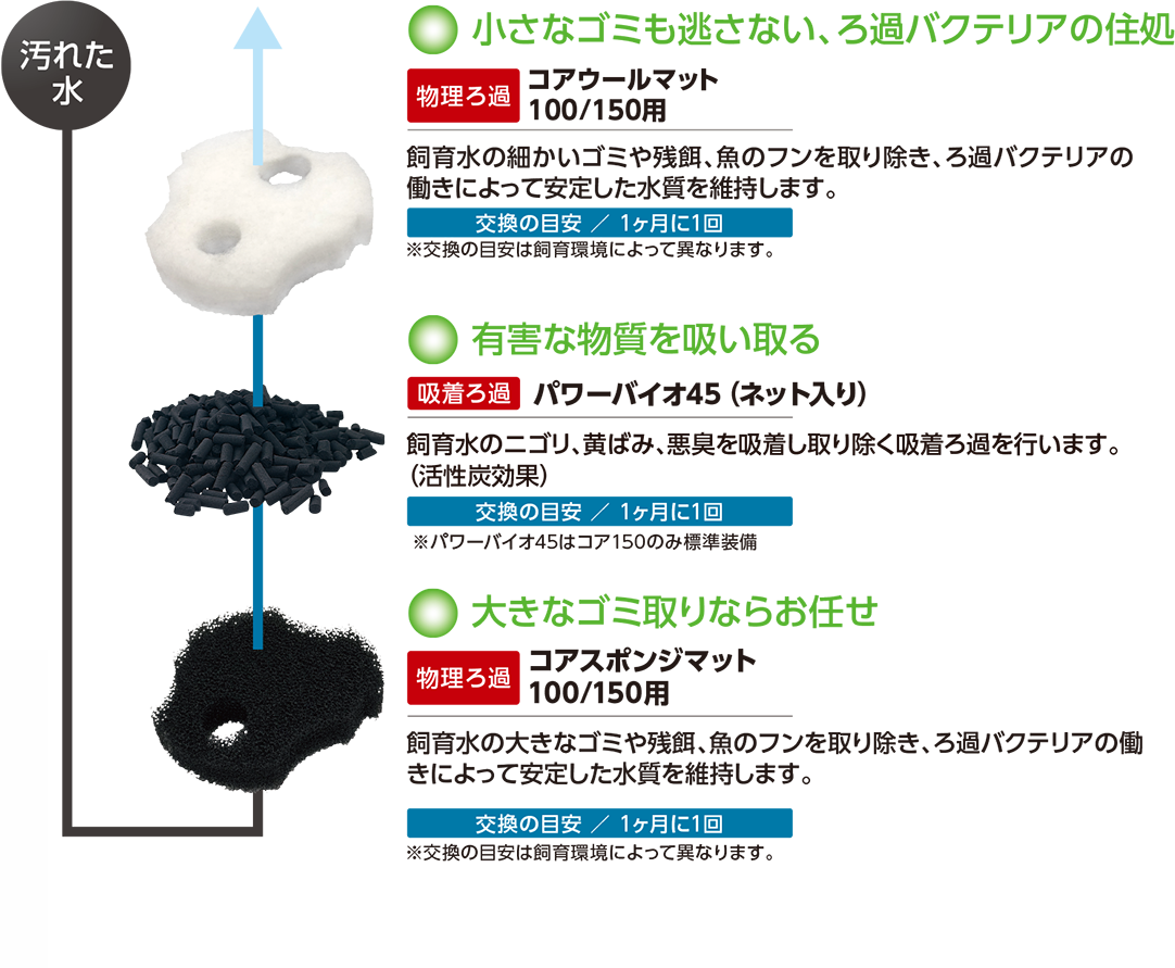 小さなゴミも逃さない、ろ過バクテリアの住処