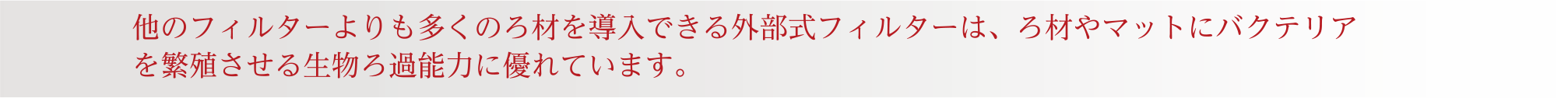 他のフィルターよりも多くのろ材を導入できる外部式フィルターは、ろ材やマットにバクテリアを繁殖させる生物ろ過能力に優れています。