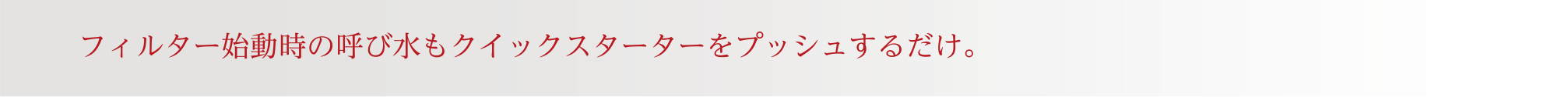 フィルター始動時の呼び水もクイックスターターをプッシュするだけ。