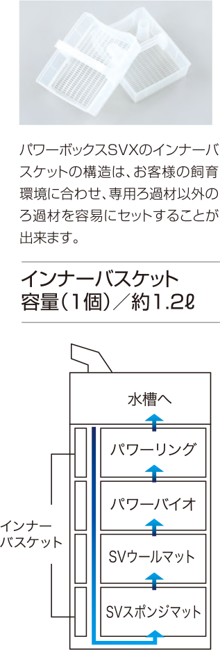 小さなゴミも逃さない、ろ過バクテリアの住処